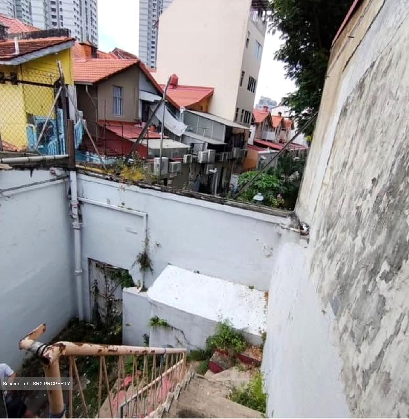 Serangoon Road (D8), Shop House #637747641